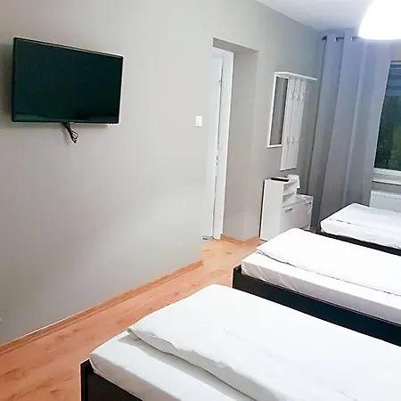 Kalina-duszka Płock