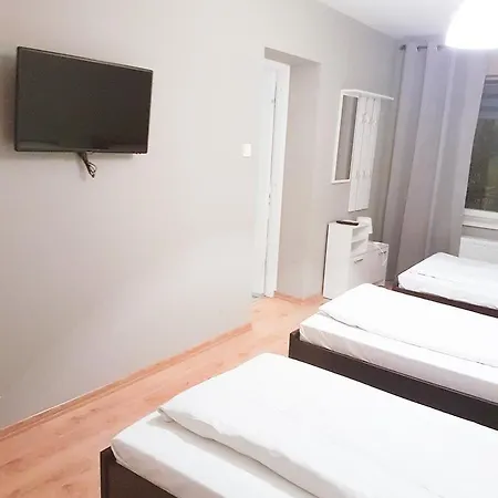 Kalina-duszka * Płock